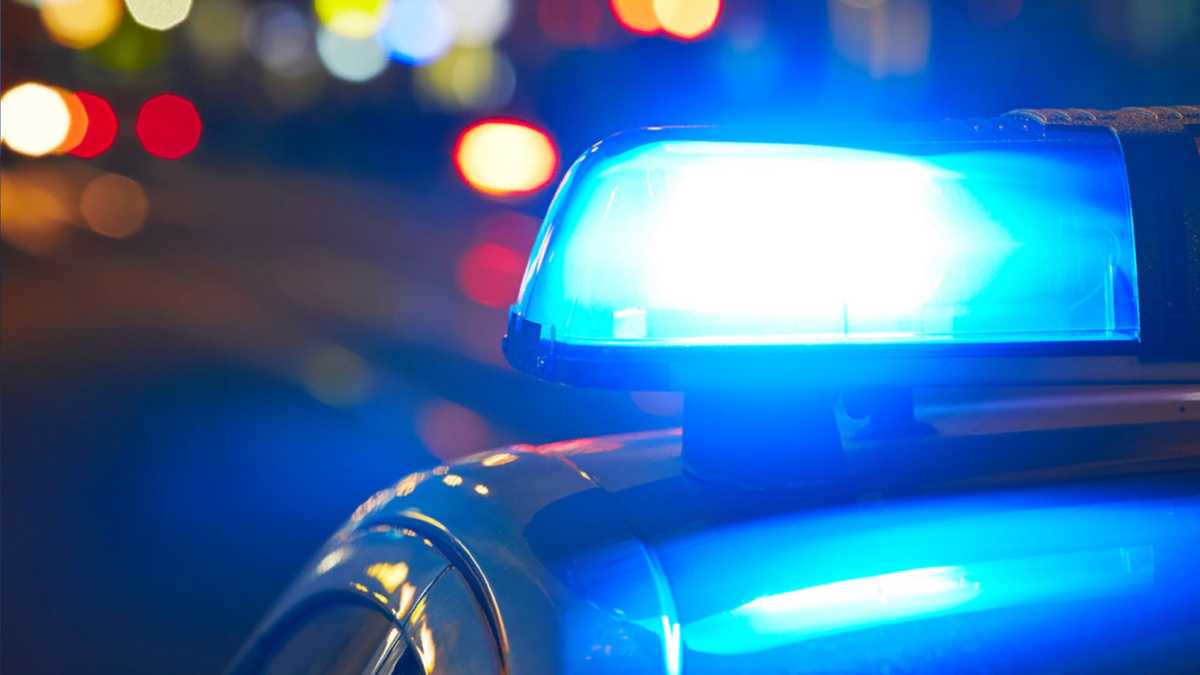 21 dogs found dead at boarding house in Washington County, NY