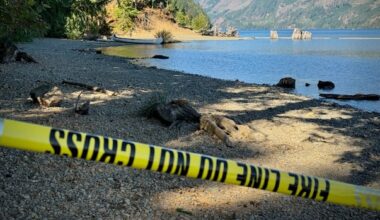Mother, 5-month-old child killed by falling tree on Vancouver Island