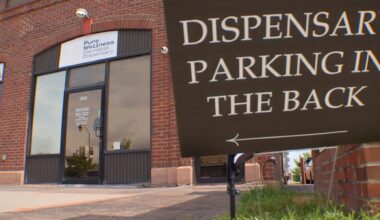 'We've invested everything': Cannabis shops across NY face closure due to state's measuring mistake