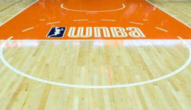 Sex toy tossed onto court during WNBA game in Chicago