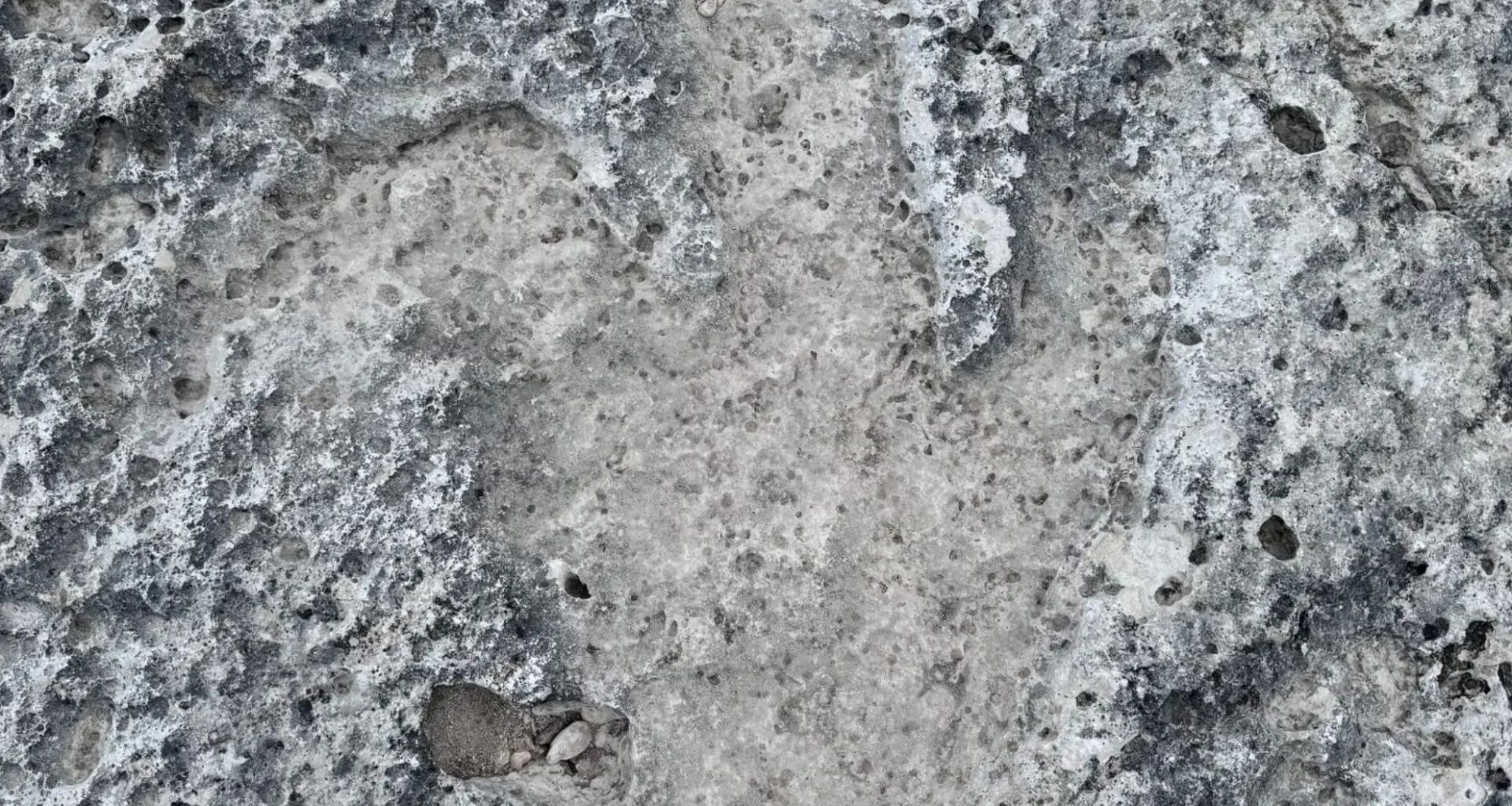Rare 115 Million Year Old Dinosaur Footprints Discovered In Texas After Flooding Reveals Hidden Fossils