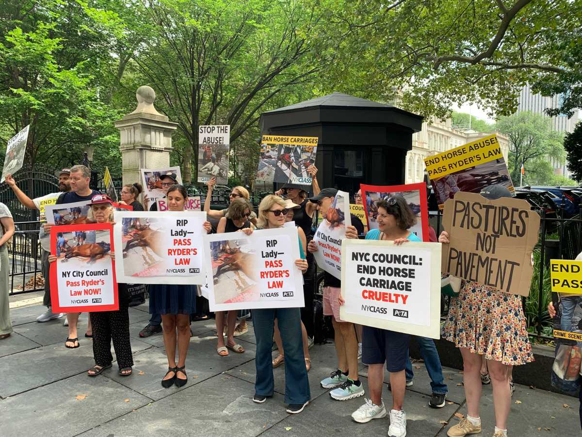 Push to ban NYC carriage horse industry continues with City Hall rally days after equine’s death