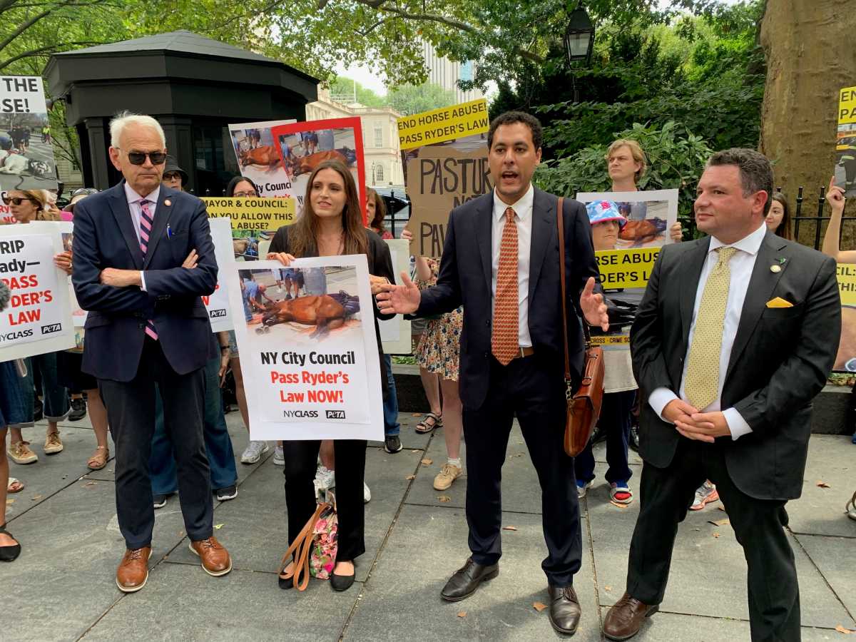 people holding signs while protesting carriage horse industry and supporting Ryder's Law