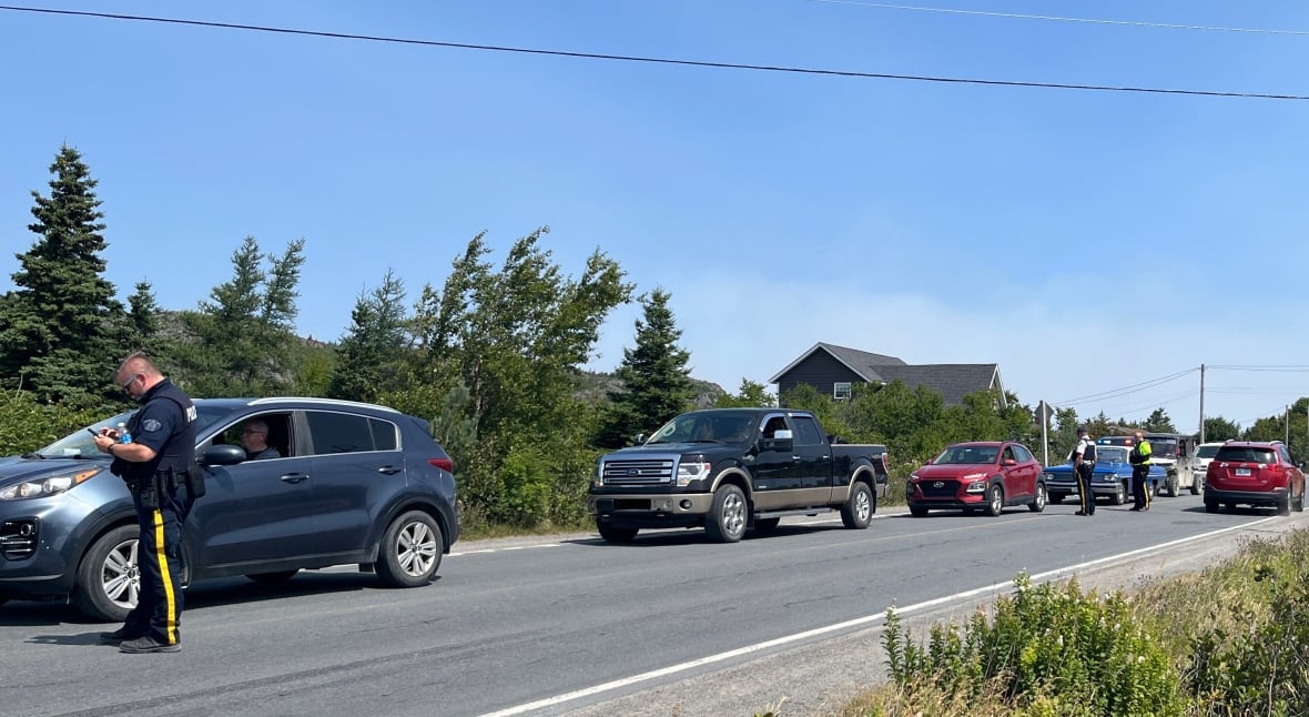 A line of cars on the road, with a police officer talking to one driver.