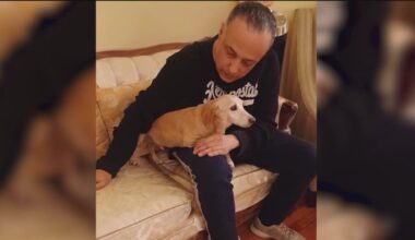 Blind Chicago man’s missing dog sparks nationwide outpouring of help