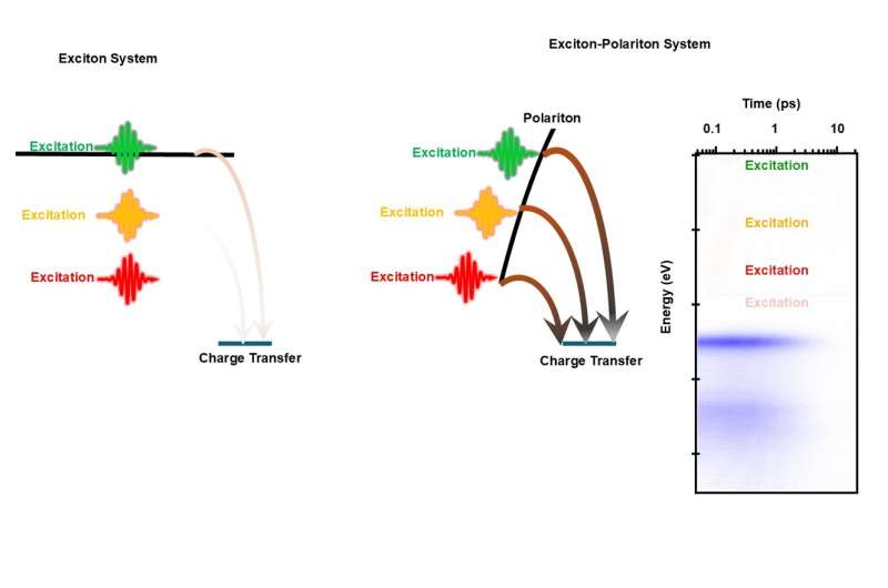 Scientist harness polaritons, making a leap in molecular charge transfer