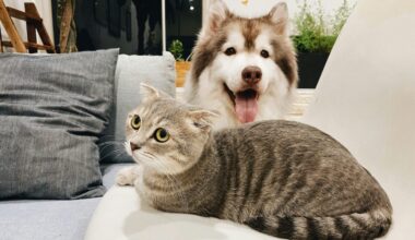 pet-friendly Scottsdale No. 1 WalletHub 2025...