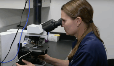 How a Smithsonian lab is helping threatened species get off the endangered list