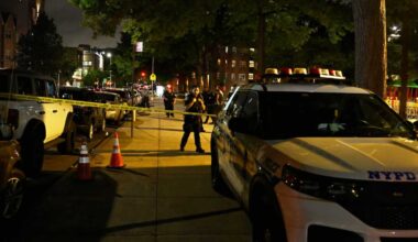 Man in Bronx shot dead at public housing complex in neighborhood’s third murder this week