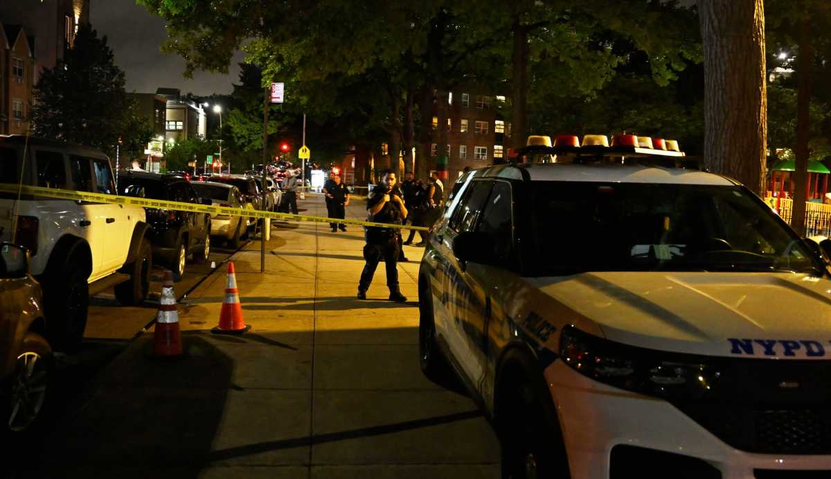 Man in Bronx shot dead at public housing complex in neighborhood’s third murder this week