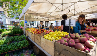 End food insecurity with N.Y.’s farmers