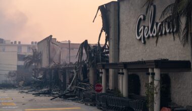 Nearly $40M to be Allocated to LA Wildfire Recovery