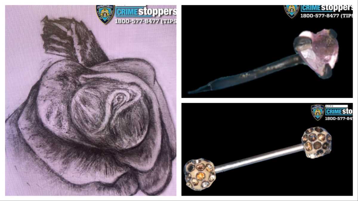 Investigators working to identify skeletal remains of woman found on Jackie Robinson Parkway: NYPD – QNS