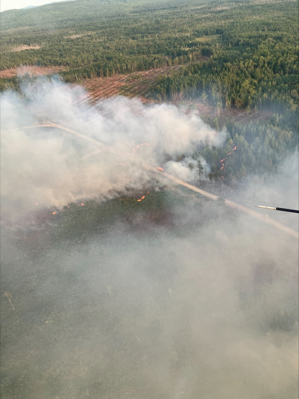 Smoke coming from a forest fire, we can see some flames.