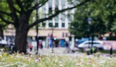 Dallas partners with Smart Surfaces Coalition to cool down urban core