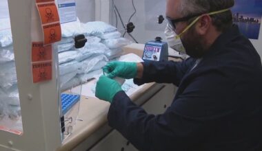 DEA warns of carfentanil resurgence in Arizona