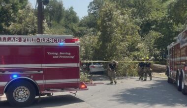 Massive tree falls in Dallas' Lakewood neighborhood, injuring woman in SUV and triggering safety concerns