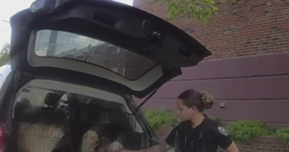 Temple University Police rescue several pets from hot car in North Philadelphia