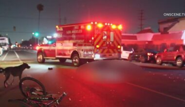 Bicyclist killed in South LA hit-and-run crash