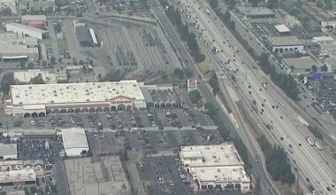 Man running from ICE raid in Los Angeles dies after entering freeway