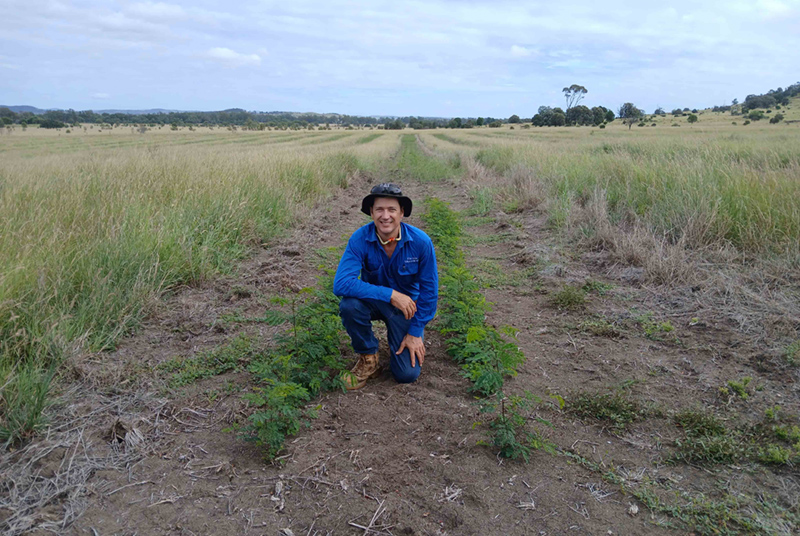 Productivity gains through pasture insights and genetics