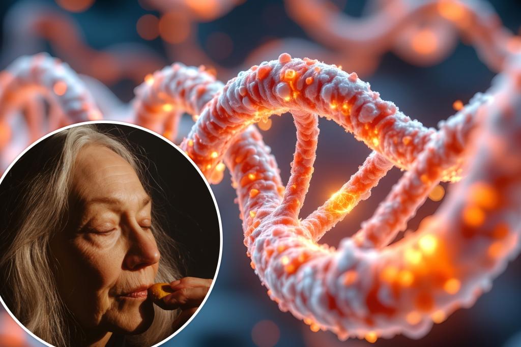 Eating a small handful of this snack a day can slow down aging: study