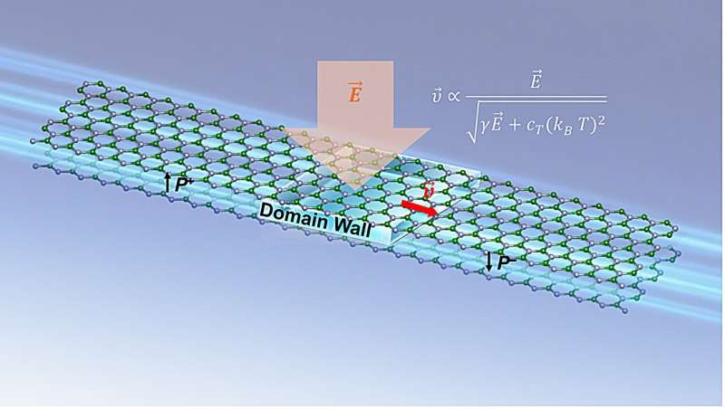 Study unveils the superlubric motion of wavelike domain walls in sliding ferroelectrics