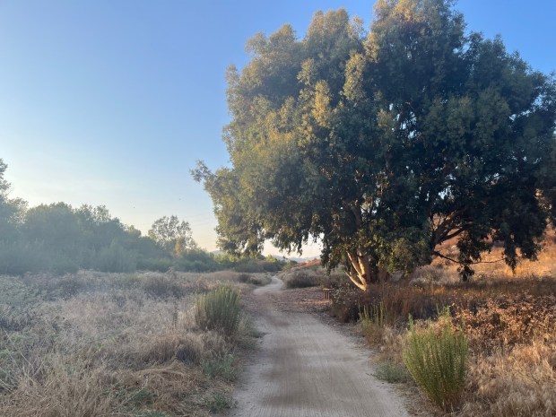 One of the benches located along the Coast to Crest Trail. (Maura Fox / The San Diego Union-Tribune)