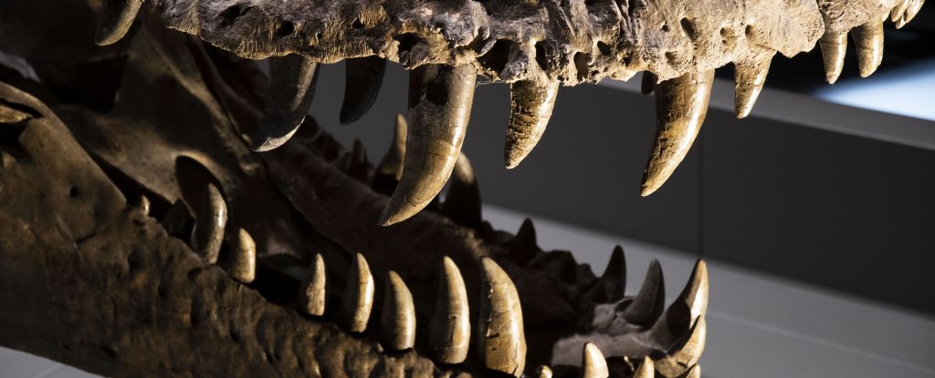 Prehistoric Air Has Been Reconstructed From Dinosaur Teeth in an Amazing First : ScienceAlert