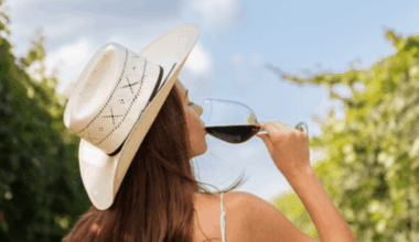 Master Texas wines at the first Hill Country Wine Camp