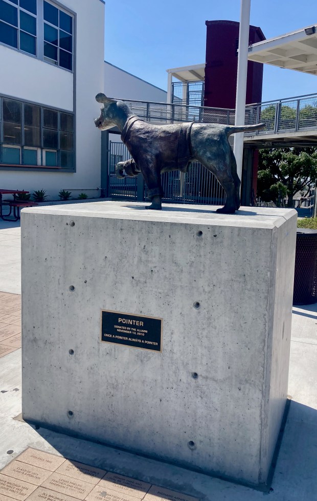 The Pointer dog statue, created by sculptor Richard Arnold (class...