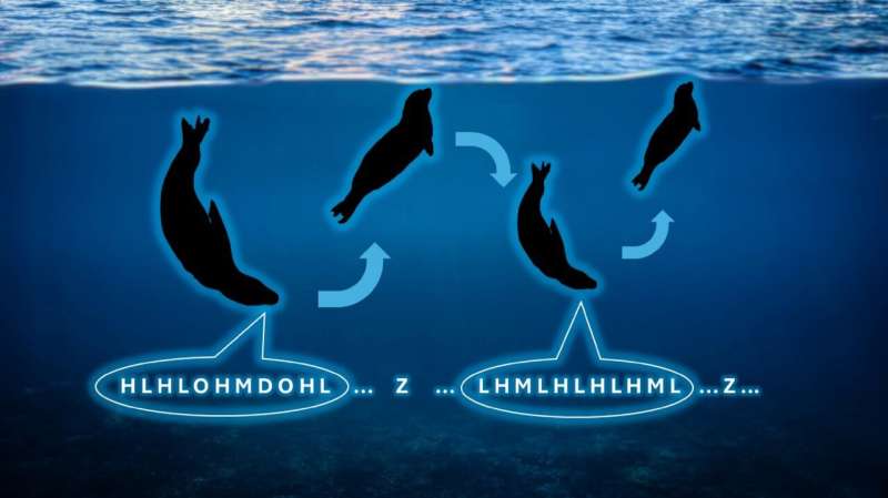 Twinkle, twinkle leopard seal: songs below the ice flow like nursery rhymes