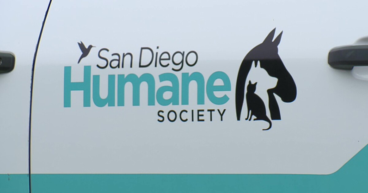Judge rules San Diego Humane Society illegally abandoned cats