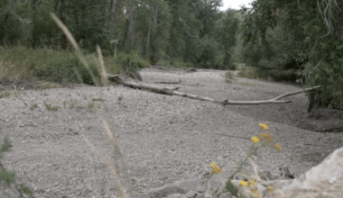Drought conditions dry up parts of Lolo Creek