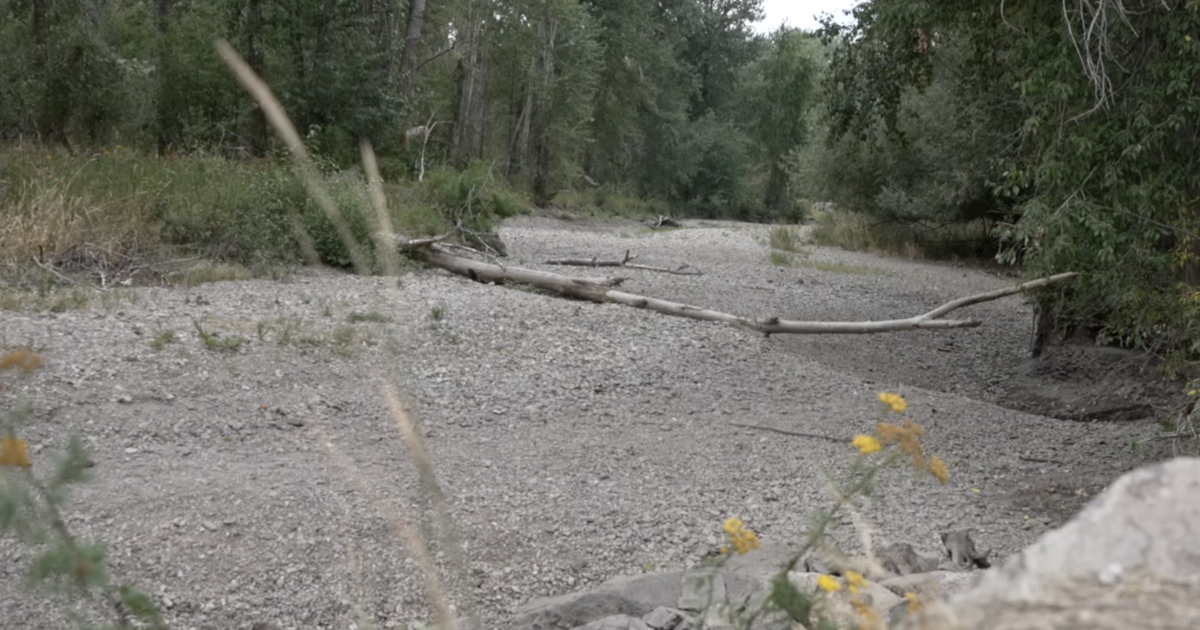 Drought conditions dry up parts of Lolo Creek