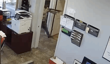 Trucker walks into former job and attempts to kill bosses