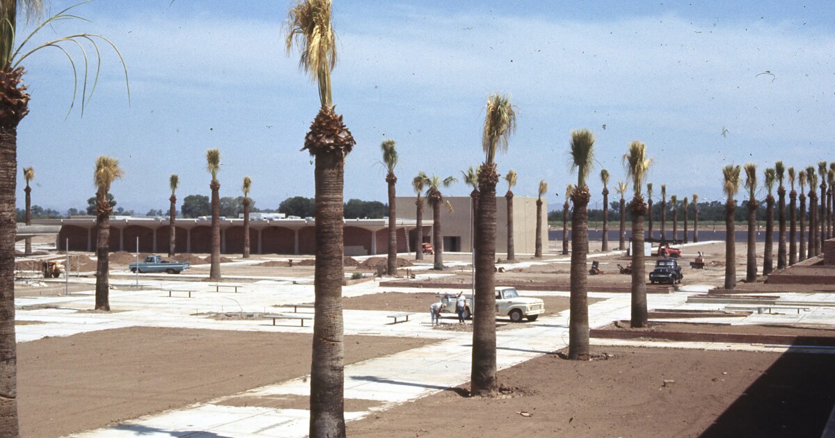 Is it time to bid a frond farewell to Phoenix's palm trees? This LA Times writer says yes