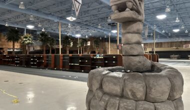 Architect bought Phoenix Fry's Electronics huge snake statue. Here's what he plans to do with it