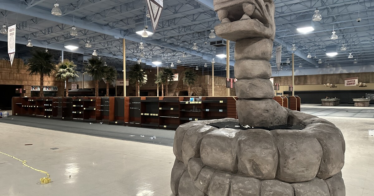 Architect bought Phoenix Fry's Electronics huge snake statue. Here's what he plans to do with it