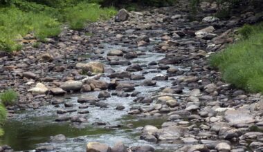 Maine river flows plummet as abnormally dry conditions set in