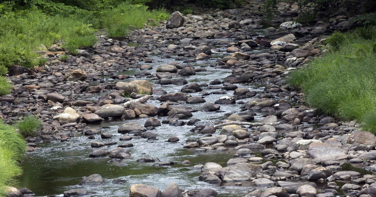 Maine river flows plummet as abnormally dry conditions set in