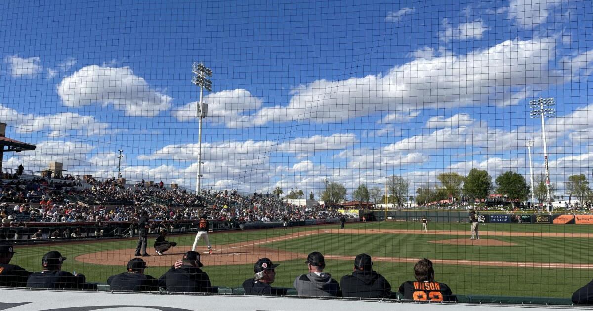 2024 was a good year for tourism in Scottsdale