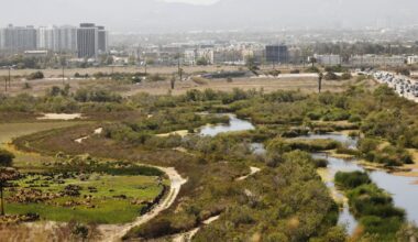 Ballona wetlands update