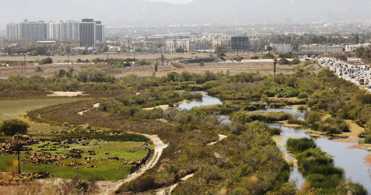 Ballona wetlands update