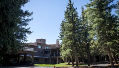 Health officials warn of rabies threat from bat-infested cabins in Wyoming