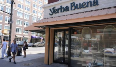 New York's cannabis agency allowed dispensaries to open too close to schools