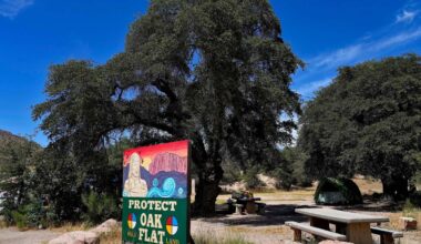 US appeals court stalls Arizona land transfer for copper mining