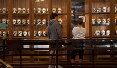 New policies at Philadelphia's Mutter Museum address display of human remains