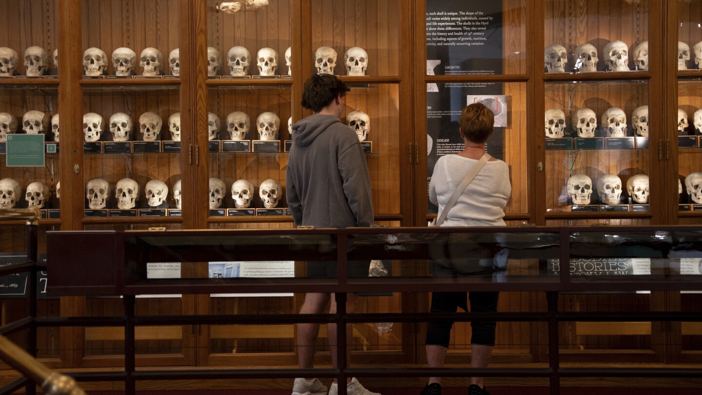 New policies at Philadelphia's Mutter Museum address display of human remains