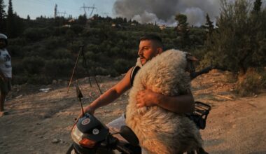Photos of the wildfires in Europe displacing thousands as residents join efforts to fight the flames